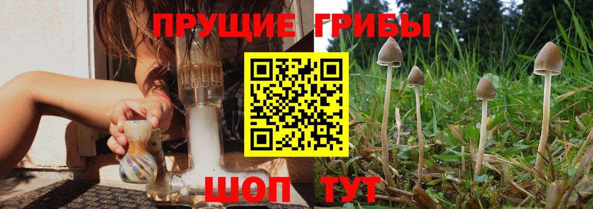 Псилоцибиновые грибы ЛСД Мариинск