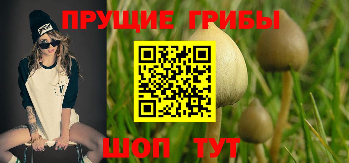 Мариинск  Галлюциногенные грибы GOLDEN TEACHER  Вход с VPN 